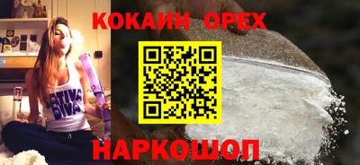 гашик Можга