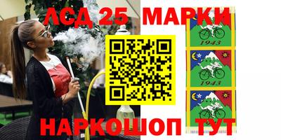 гашик Можга