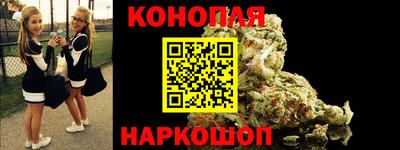 гашик Можга