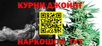 гашик Можга