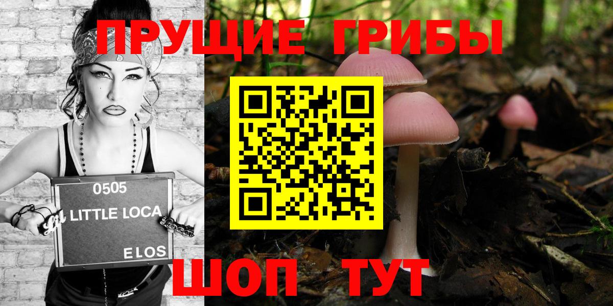 Галлюциногенные грибы Magic Shrooms Саров