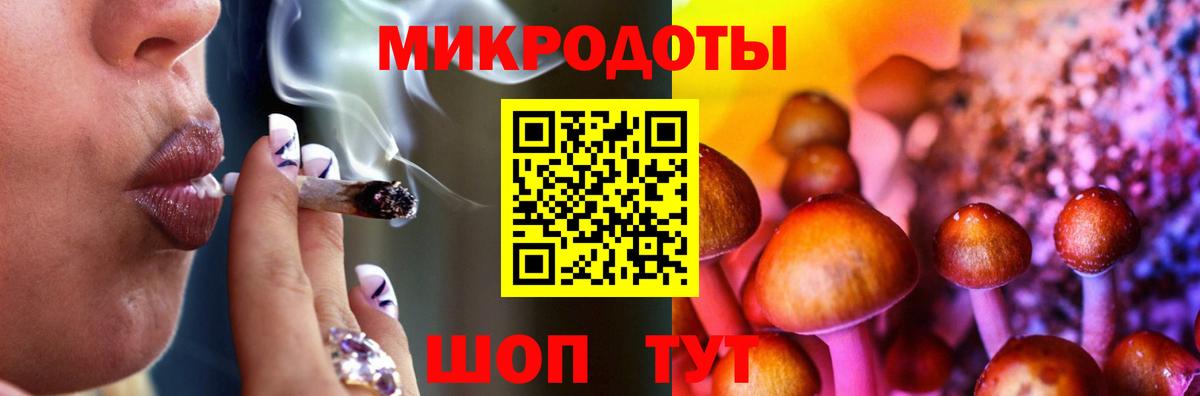 Саров  Галлюциногенные грибы Psilocybe  Вход с VPN 